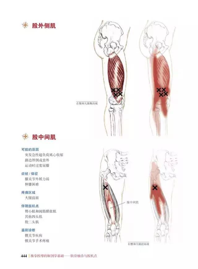 预售低价|推拿按摩的解剖学基础(第五版)