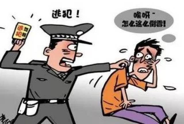 追逃不停步!福鼎人员已在逃182名抓获警察!小偷抓公安电视剧09集图片