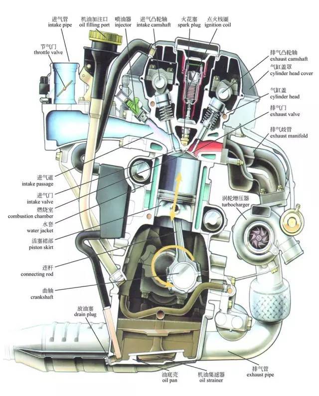 汽油发动机剖视图. ▼