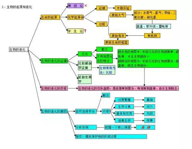 初中科学《生物部分》知识点思维导图,没有比这更清晰