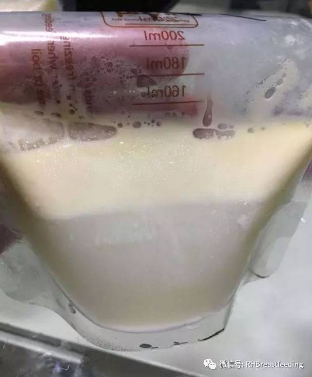 当把吸出来的母乳静置一段时间后,母乳开始分层.