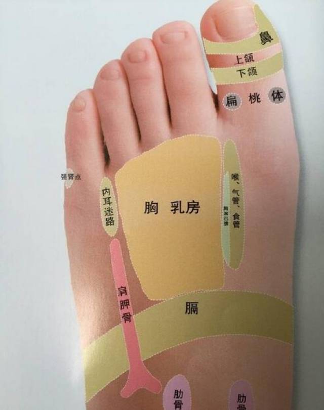 女性摸一摸按一按这个部位,有效改善乳腺增生