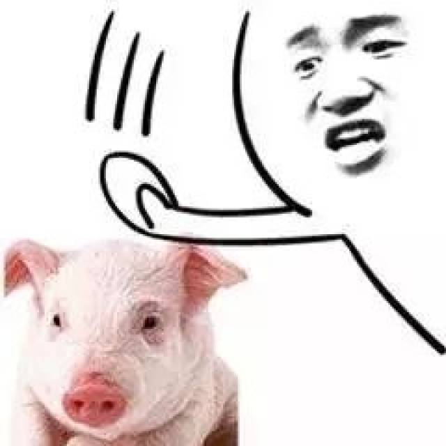 面对你的表情包 个个都是十万个为什么 总有一大堆的灵魂质问.