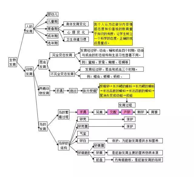 初中科学《生物部分》知识点思维导图,没有比这更清晰