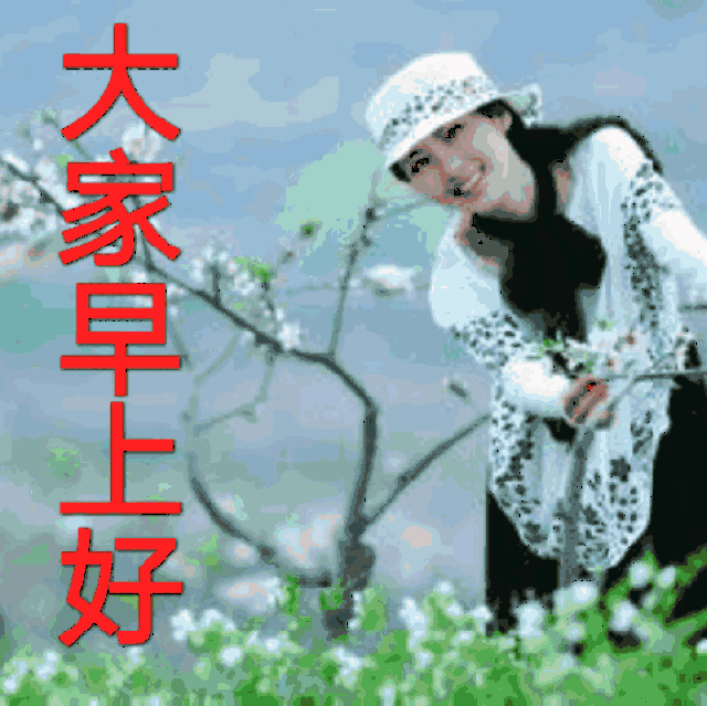 最全的