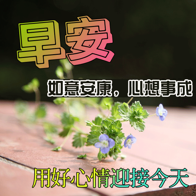大家早安图片动画 大家早上好动态表情图片合集