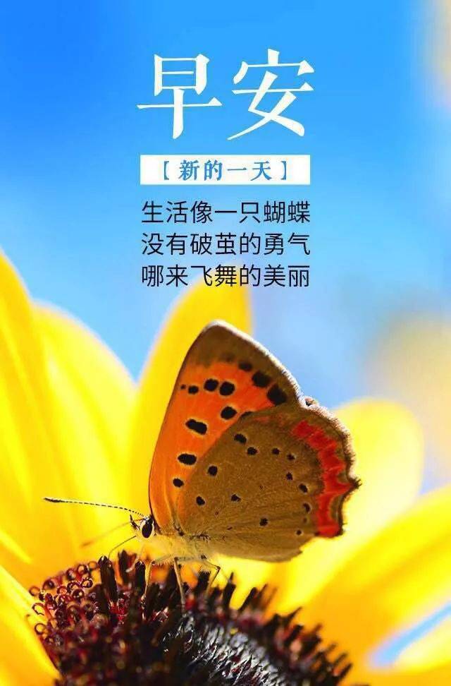 圣诞节早安心语正能量励志语句 早上好激励人的图片带