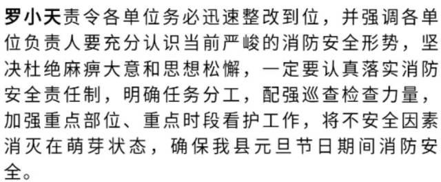 12月21日,副县长,公安局局长罗小天带领县应急办,公安,消防,经信,住建