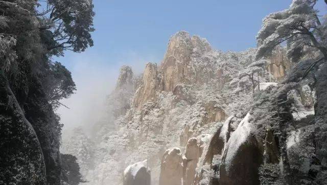 周末 元旦,三清山连下4天的雪?雪不来,我不走!