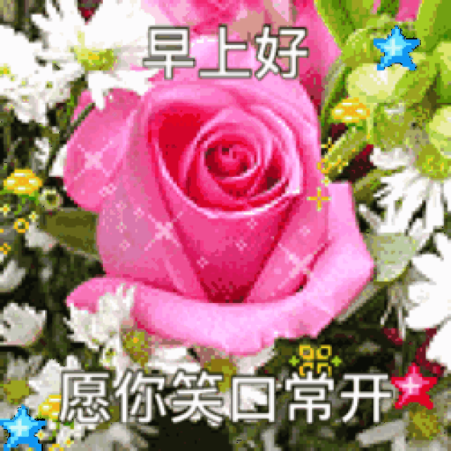 最全的