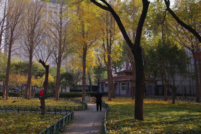 北京的小微公园-会城门公园(海淀区)闲走北京