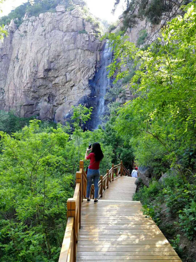 沂山风景区共分有五大景区:东镇碑林,东镇庙景区,百丈崖景区,法云寺