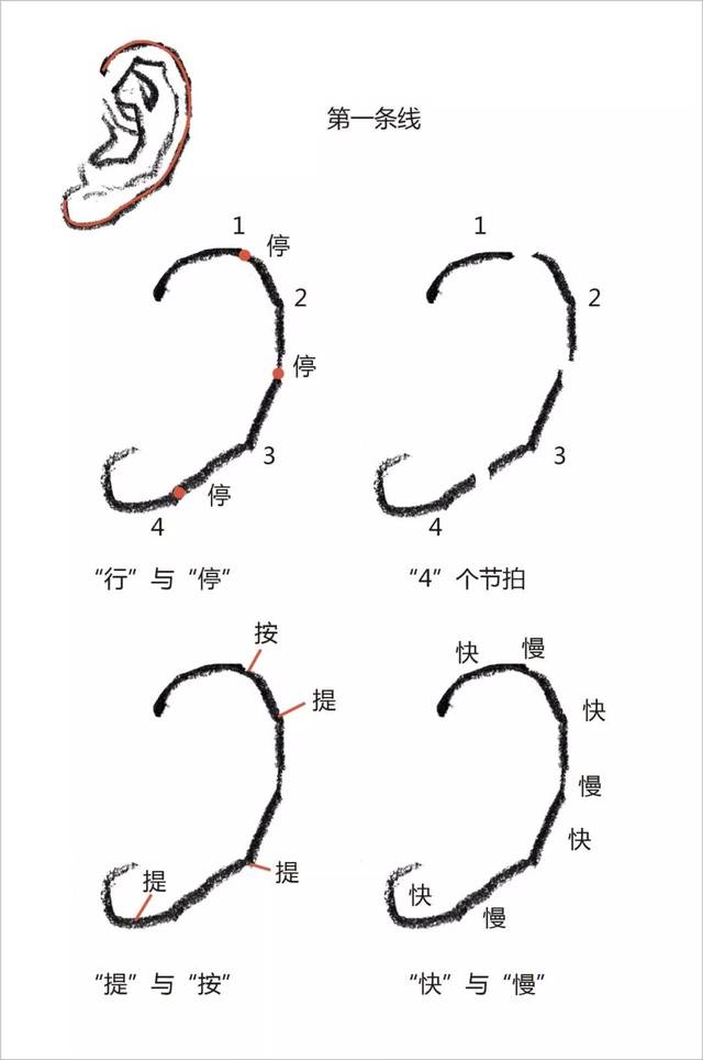 【插本高分卷】广美速写教程 超详细解析!速写五官大礼包!