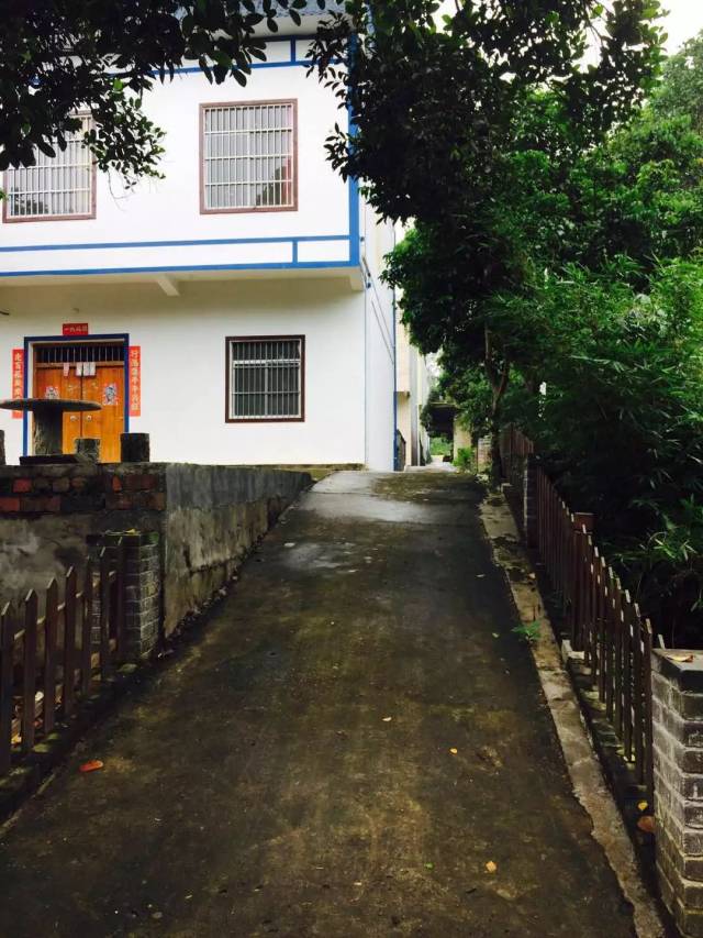 卢姓农户庭院位于隆安县那桐镇定江村定典屯综合示范村内,房屋整体