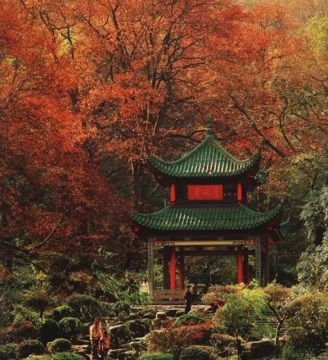 致敬伟人!毛主席在湖南这些高校里留有记忆