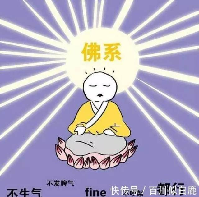 k佛系seo 搜狐网