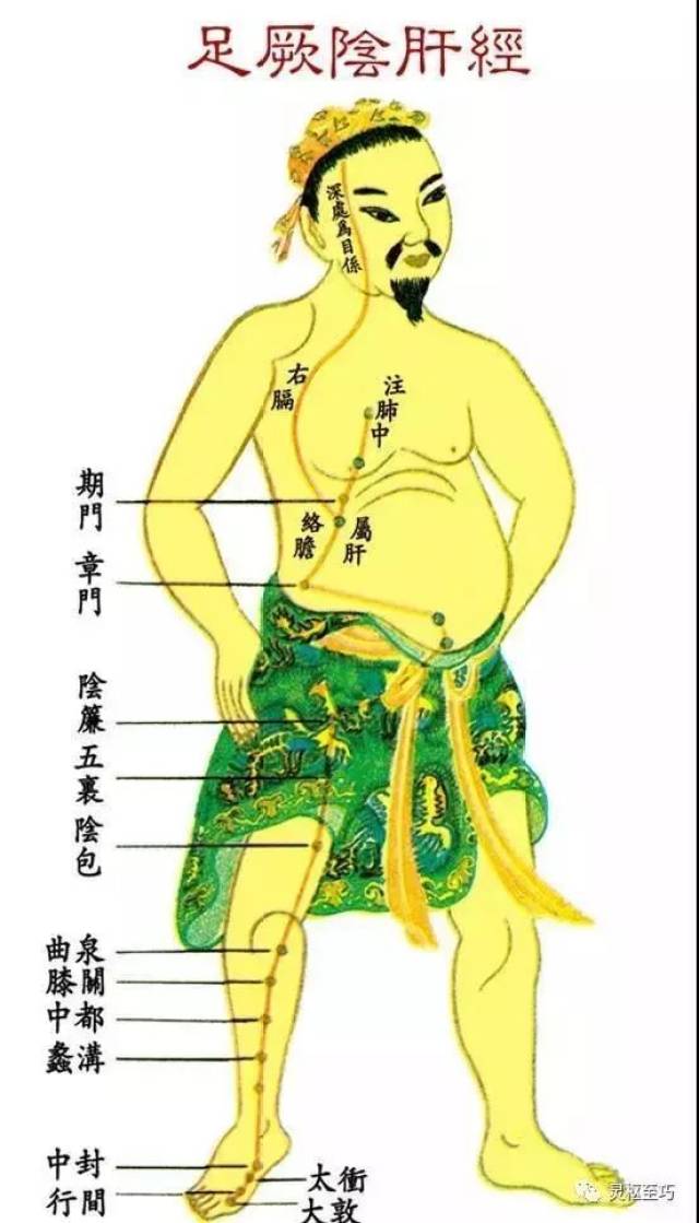 十二经脉图|养生