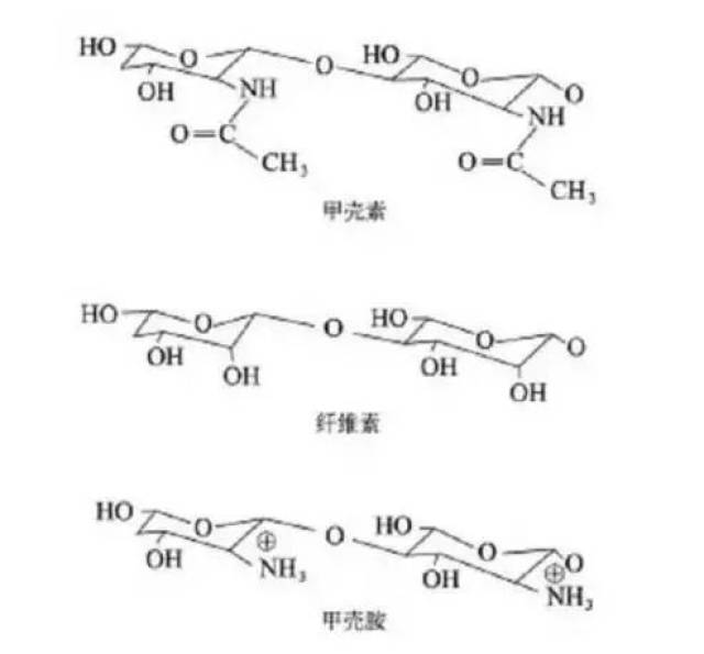 你绝对没见过的天然抗菌,保湿材料—甲壳素整理剂