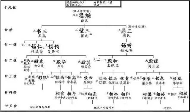 家谱格式大类比