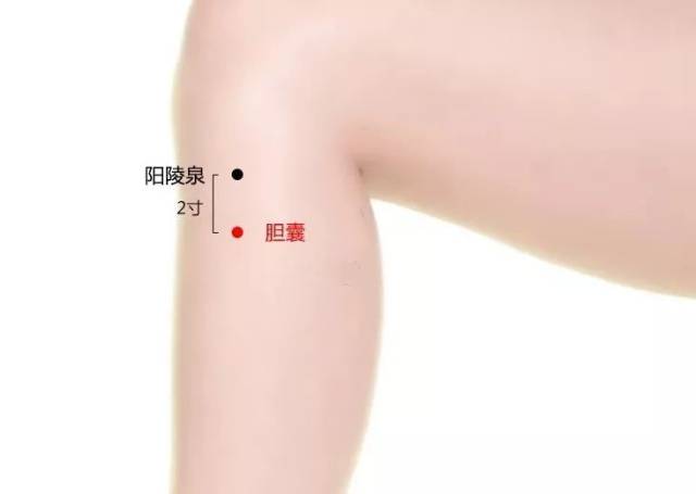 方法很简单,按摩一个穴位: 胆囊穴,这是个经外奇穴,在小腿外侧,当