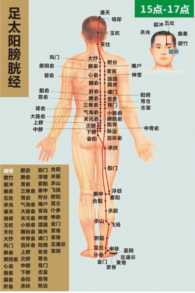 教学图示 500_750 竖版 竖屏 gif 动态图 动图