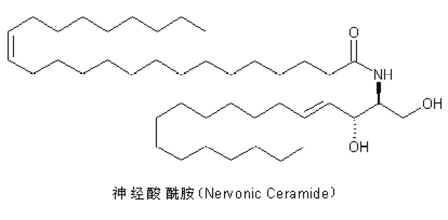 缔美诗药妆皮肤管理护肤课堂之神经酰胺