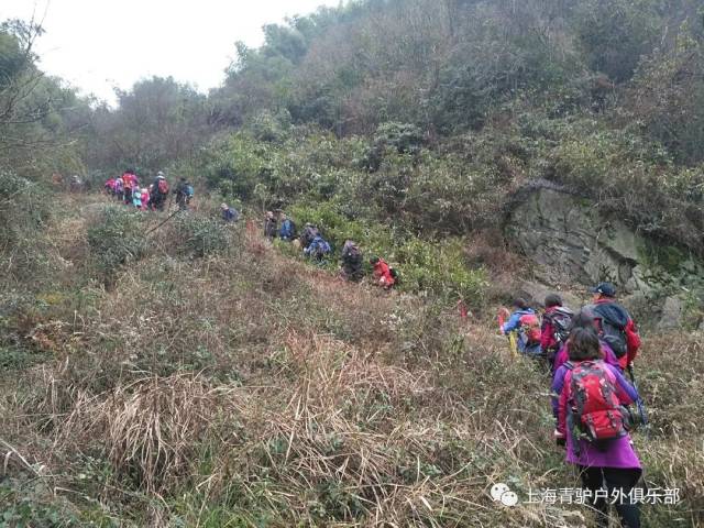 【活动回顾·12月15日】徒步羊额古道,赏四明湖红杉漫漫
