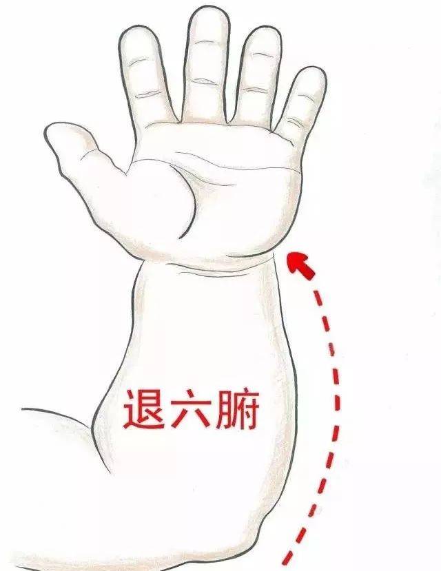 清大肠 100-500次