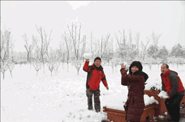 嬉雪乐园 蓝天,阳光,白雪,冬季的绝妙组合 雪圈,雪地寻宝,堆雪人,爬犁