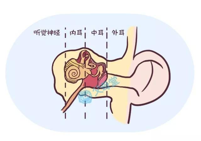 急性中耳炎的致病原因