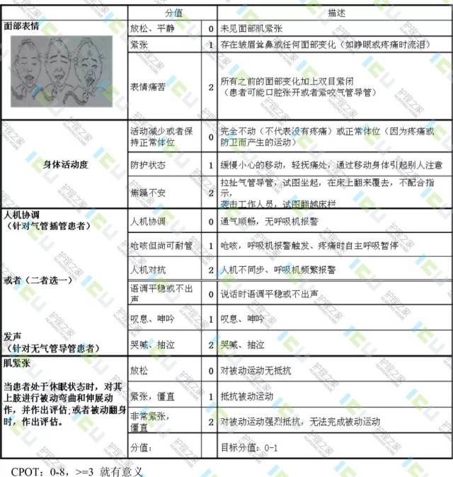 icu常用镇痛镇静瞻望评分表及方法