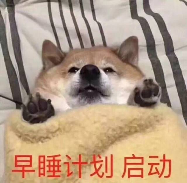 早睡早起 看着暑假狂欢留下的黑眼圈 我们默默立下早睡早起的flag