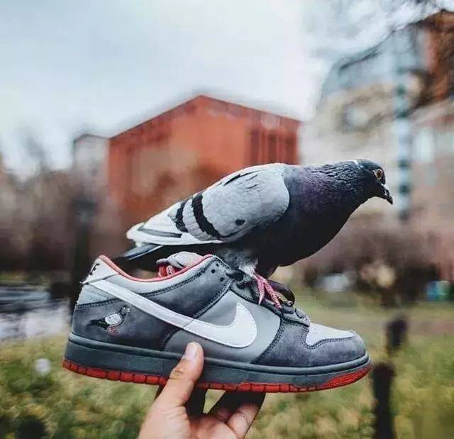 12 万一双的 nike sb dunk,买到还要警察护送回家.