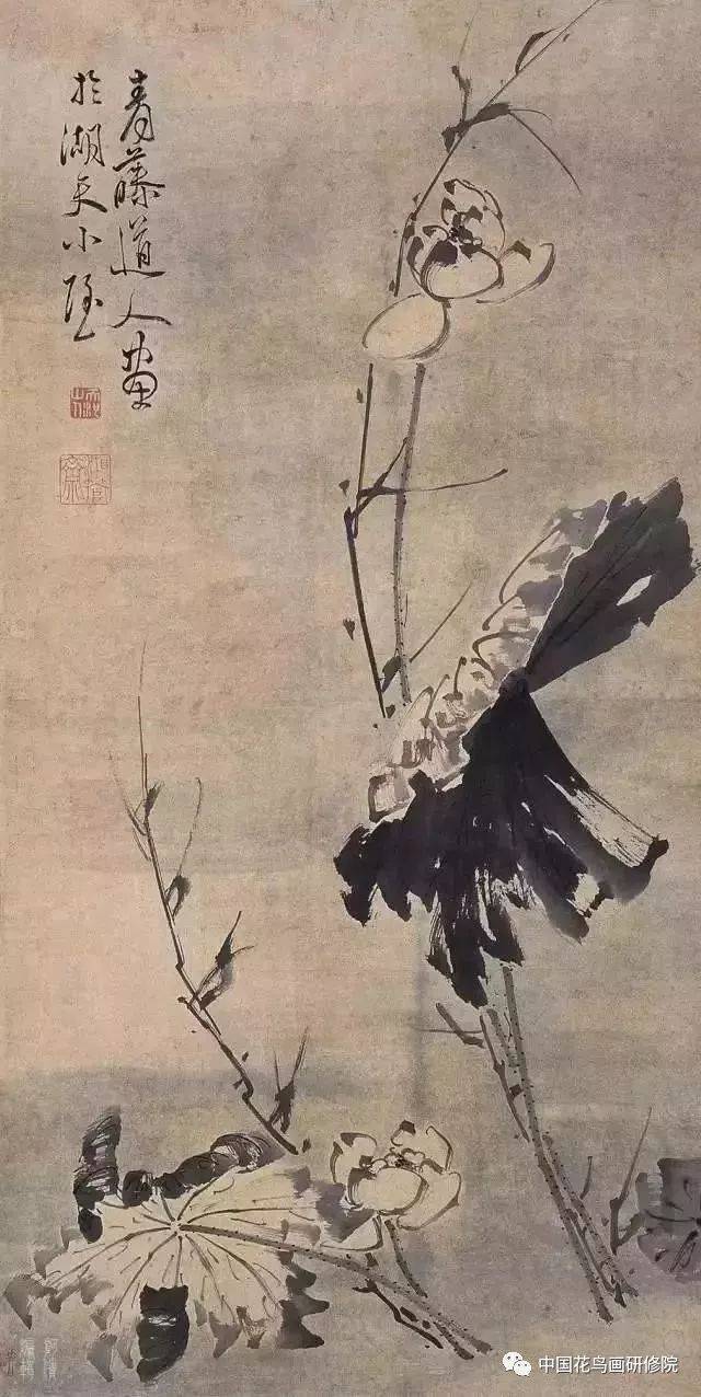 写意花鸟开山鼻祖——徐渭作品 三,强化"写"的功能,将书法线条中所