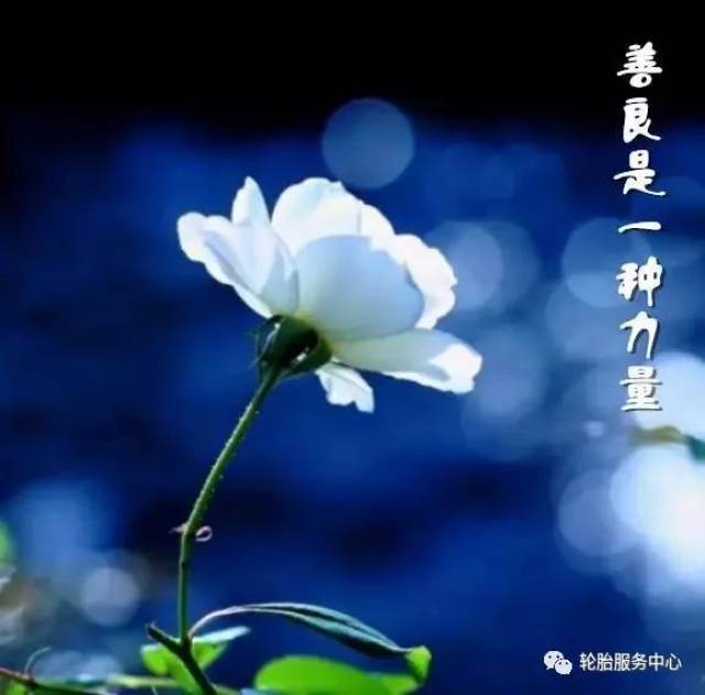 人生,择善人而交(经典好文)