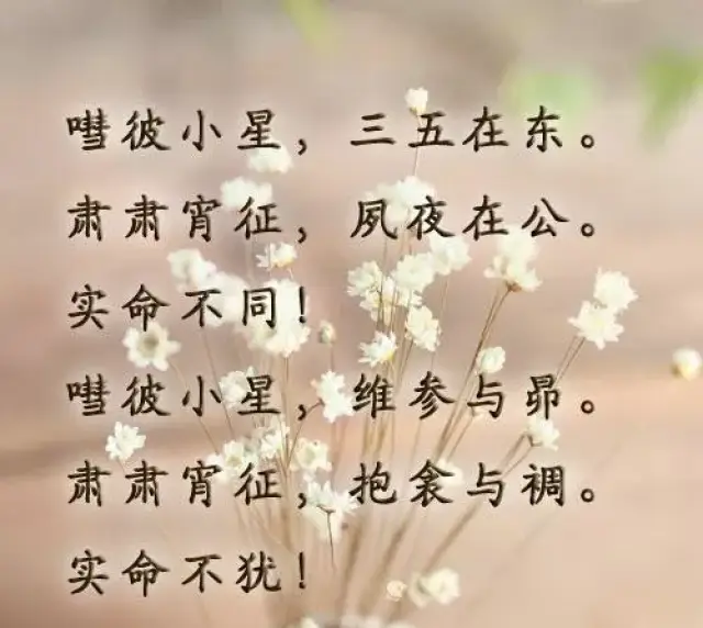 诗经《国风·召南·小星》赏析