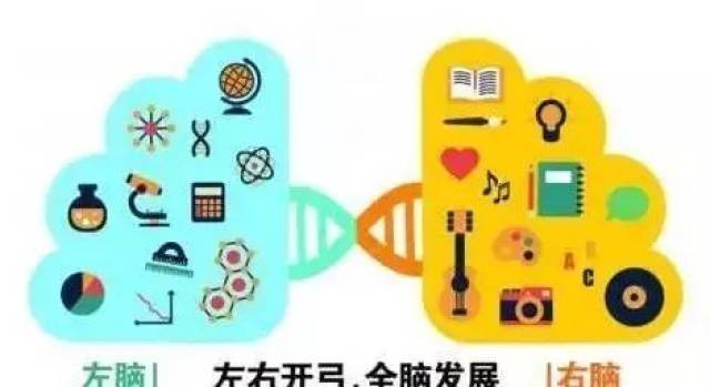 手机搜狐网