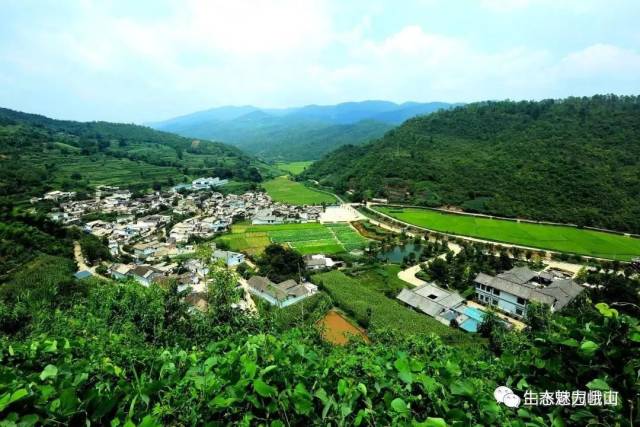 这里四面环山,碧水中流,空气清新,一派田园牧歌,这里就是峨山县岔河乡