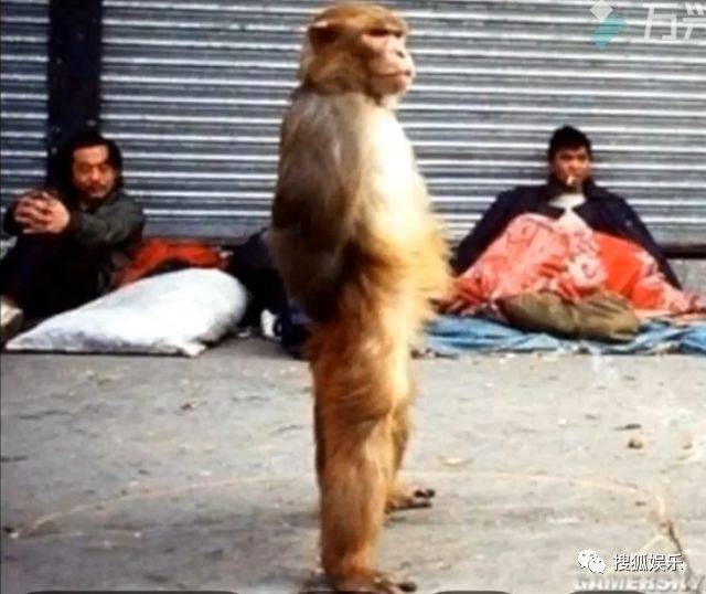 刘强东章泽天被曝一起滑雪;六小龄童回应“黑料”;赵丽颖再