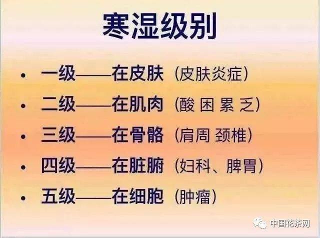 "寒湿体质"是万病之源,而体质"虚弱"的人,寒湿气就更容易进入我们身体