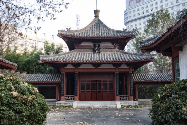冬日游徐州快哉亭公园,有点暖冬的感觉,腊梅正盛开