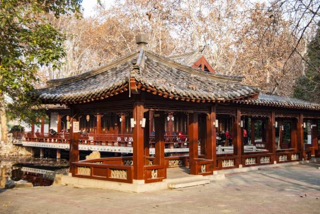 冬日游徐州快哉亭公园,有点暖冬的感觉,腊梅正盛开