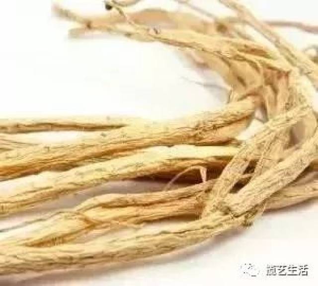 气血虚弱--你中招了吗?