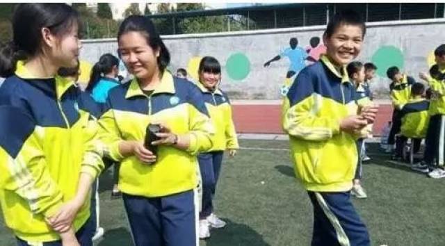 蜜蜂计算数字 仅用4个脑细胞