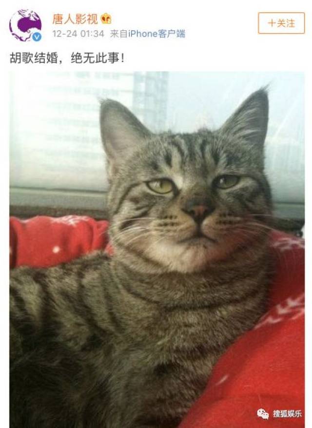 刘强东章泽天被曝一起滑雪;六小龄童回应“黑料”;赵丽颖再