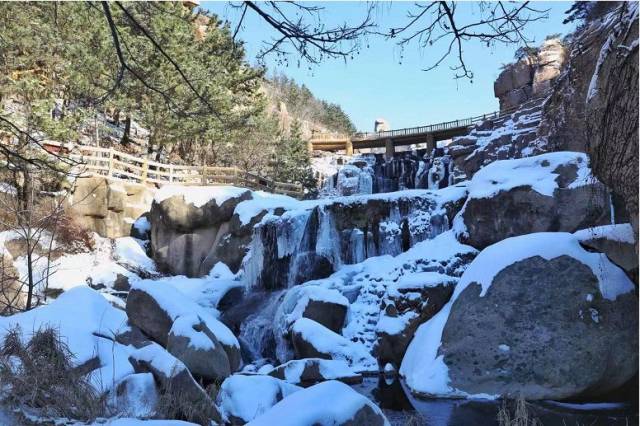 摄影   崂山特约摄影师 刘明元 (2)"极地冰雪节"青岛海昌极地海洋世界