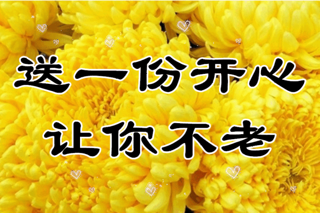 早上好,一首《快乐就好》送给你!愿你永远开心快乐!