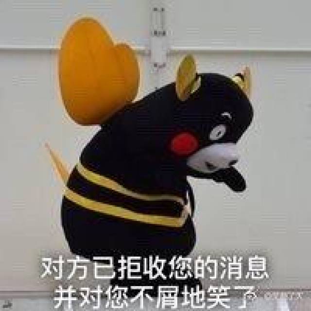 熊本熊表情包:对方已拒收您的消息,并对您投去嫌弃的目光