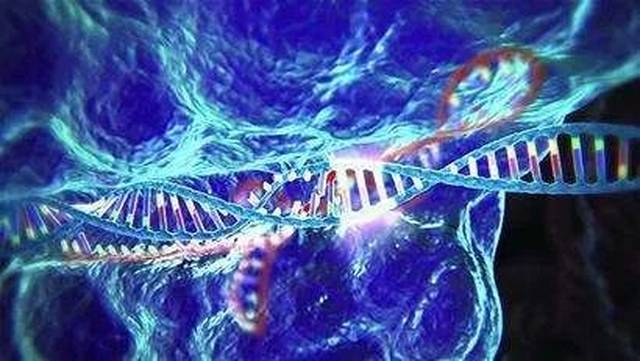 盘点2018十大国际科技新闻，全能看懂算我输