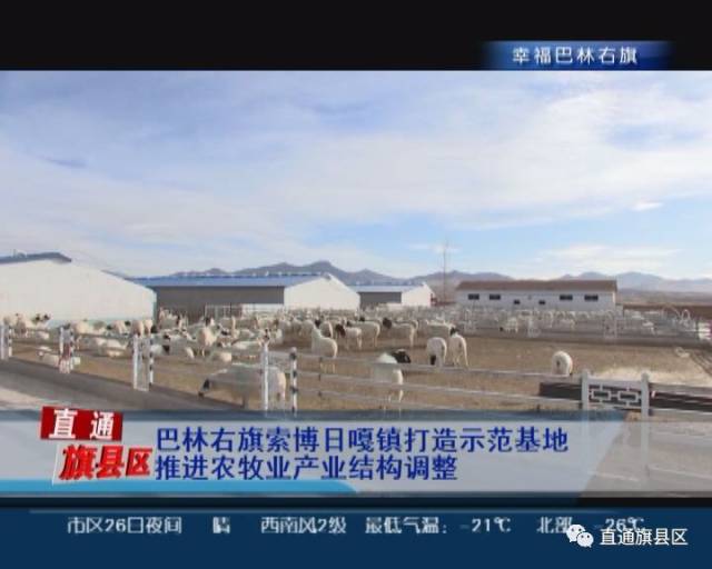 巴林右旗索博日嘎镇打造示范基地 推进农牧业产业结构